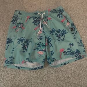 Teal Extra-Small Flamingo Swim Trunks